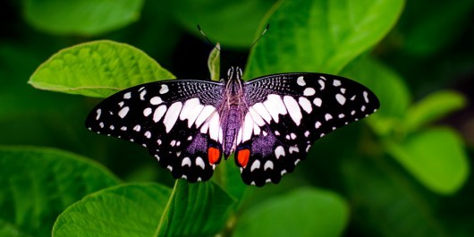 2025-11-22-10_32_27-zett-foto-jpg_main