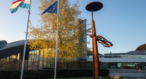 D'Coque
