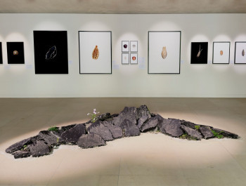 Cracks-of-Potential-4-3-resized_main