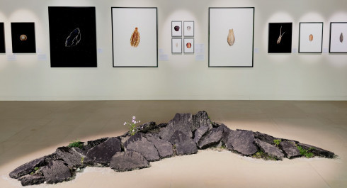 Cracks-of-Potential-4-3-resized_main