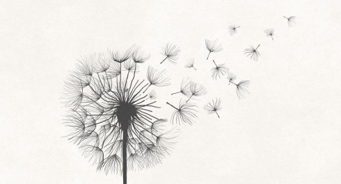 iStock-1321446076_recadre_main