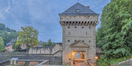 Tour Vauban