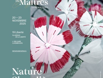 DMDM_social_media_Post_2_main