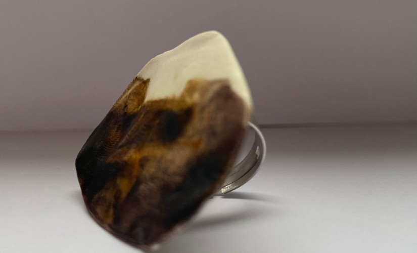 4418f9d0-64a4-4890-ba3b-1cef60f57299