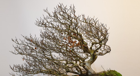 hmqjchmqjcjpg-1_main