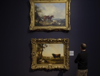 DSF4373-768x1024_main