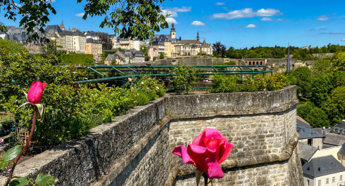 Rosengarten "Rousegaart op de Rondellen”