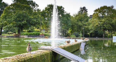 Merl Park