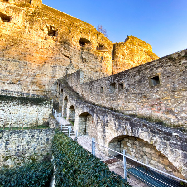 Wenzel wall