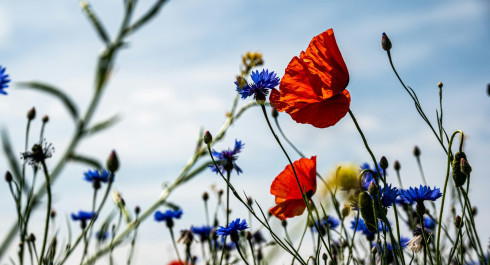 palle-knudsen-pn32osmwfhq-unsplash-scaled_main