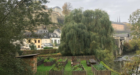 8zw3v8zw3vjpeg-scaled_main