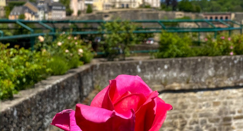 Rose garden "Rousegaart op de Rondellen”