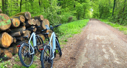 City E-Bike Luxembourg: Perfect for nature lovers