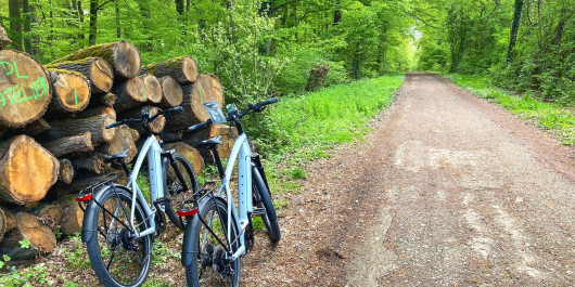 City E-Bike Luxembourg: Perfect for nature lovers