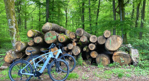 City E-Bike Luxembourg: Perfect for nature lovers