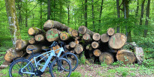 City E-Bike Luxembourg: Perfect for nature lovers