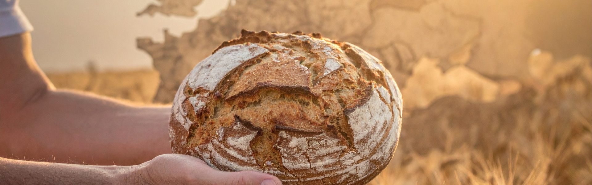 Food Stories &#8211; EUROPE