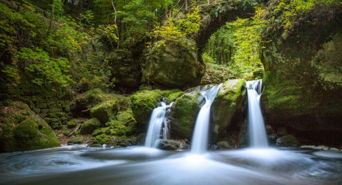 Nature & Castle Day Tour