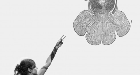 3ljeo3ljeojpg-2_main