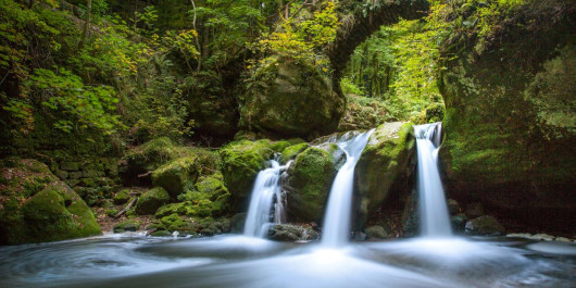 Nature & Castle Day Tour