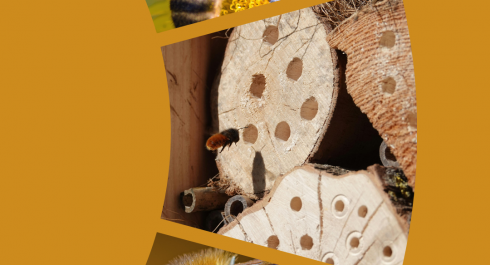 zv1vrzv1vrpng-1_main