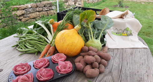 wabdbwabdbjpg-scaled_main