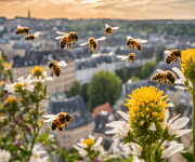 Be(e)loved Luxembourg