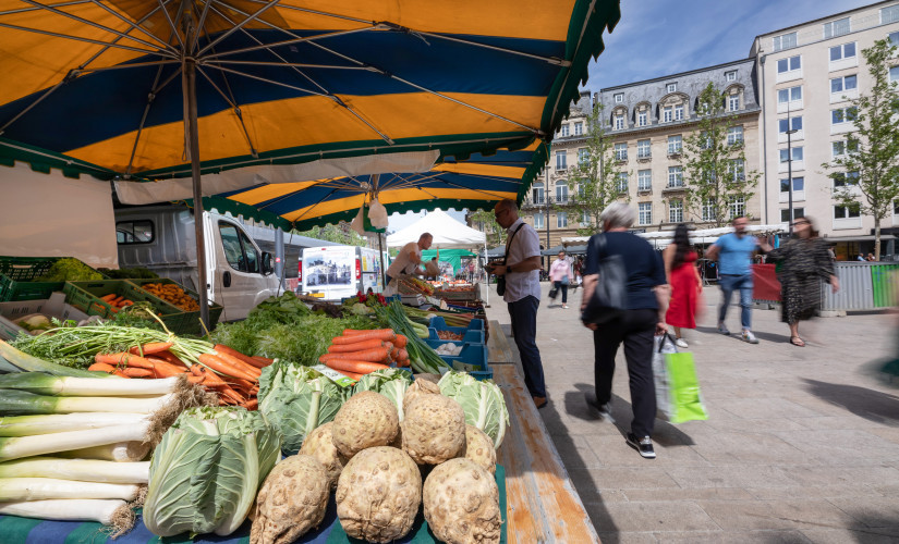 Market "Garer Maart"